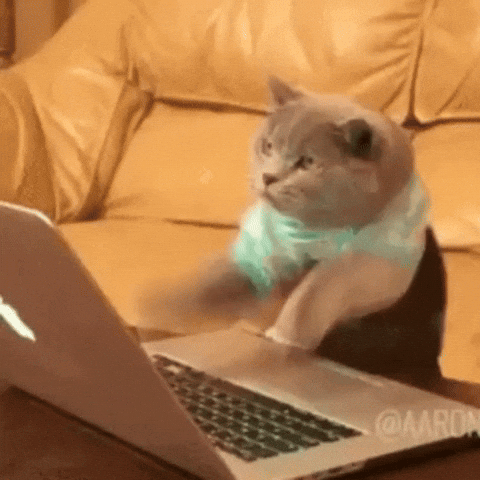 Maintenance Cat